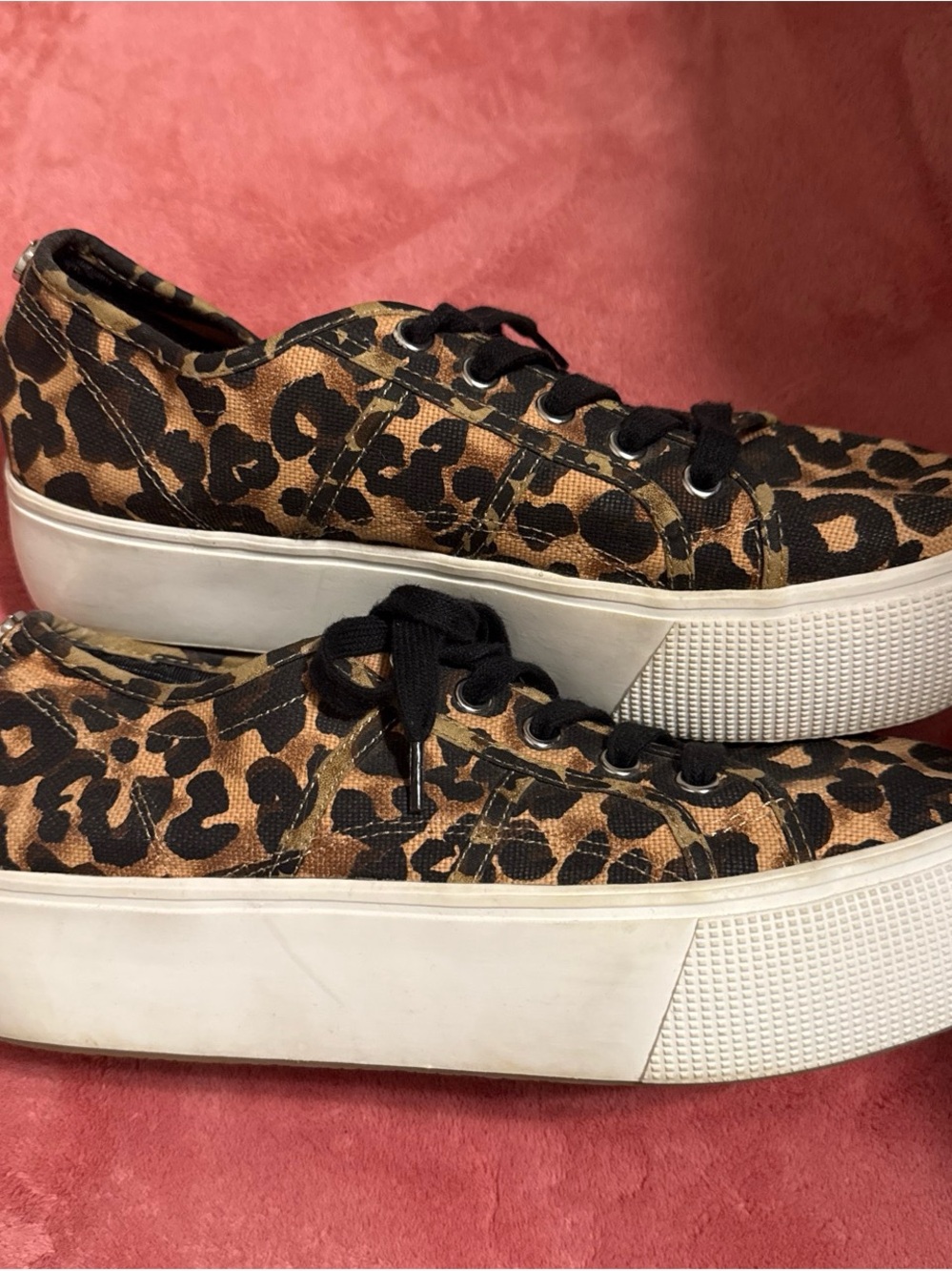 Steve Madden Leopard Print Platform Canvas Sneakers - Brown/Black